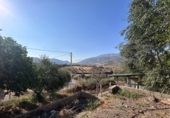 Finca rústica en venda a Álora ref.: TR277049 foto