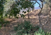 Finca rústica en venda a Álora ref.: TR277049 foto
