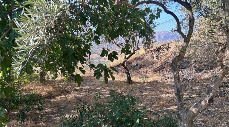 Málaga - Álora - 5700m2