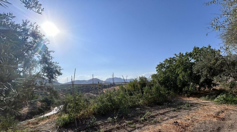 Málaga - Álora - 5700m2