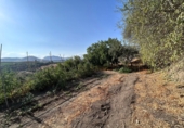 Finca rústica en venda a Álora ref.: TR277049 foto