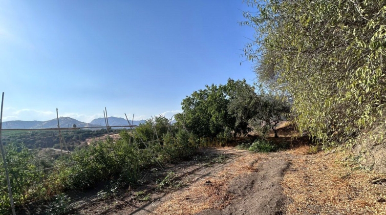 Málaga - Álora - 5700m2