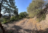 Finca rústica en venda a Álora ref.: TR277049 foto