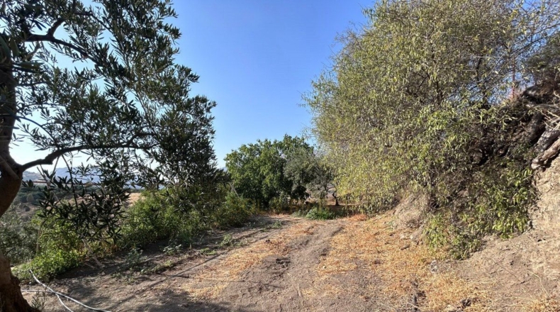 Málaga - Álora - 5700m2