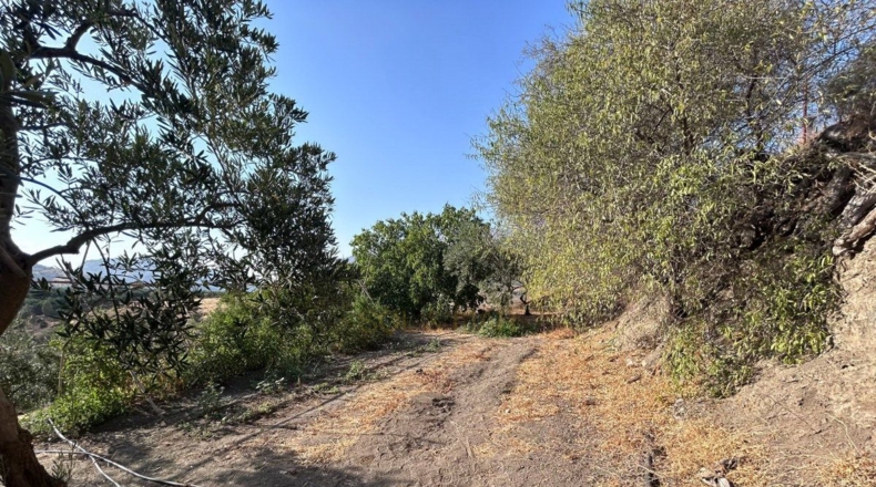 Málaga - Álora - 5700m2