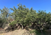 Finca rústica en venda a Álora ref.: TR277049 foto