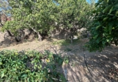 Finca rústica en venda a Álora ref.: TR277049 foto