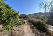 Finca rústica en venda a Álora ref.: TR277049 foto