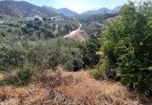 Finca rústica en venda a Álora ref.: TR277049 foto
