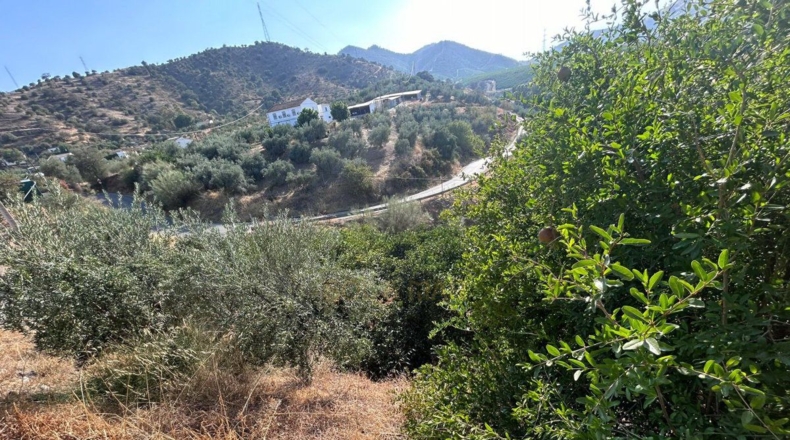 Málaga - Álora - 5700m2