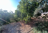 Finca rústica en venda a Álora ref.: TR277049 foto