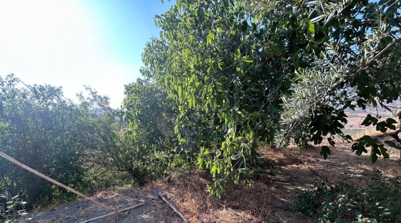 Málaga - Álora - 5700m2