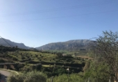 Finca rústica en venda a Álora ref.: TR277049 foto