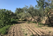 Finca rústica en venda a Álora ref.: TR277049 foto