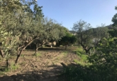 Finca rústica en venda a Álora ref.: TR277049 foto