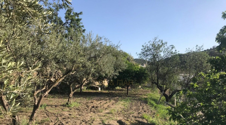 Málaga - Álora - 5700m2