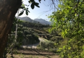 Finca rústica en venda a Álora ref.: TR277049 foto