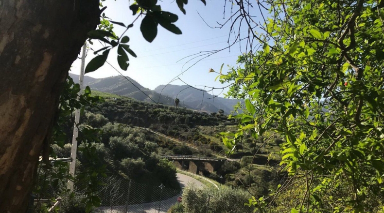Málaga - Álora - 5700m2