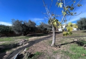 Xalet independent amb terreny en venda a Villanueva de Algaidas ref.: TR343674 foto