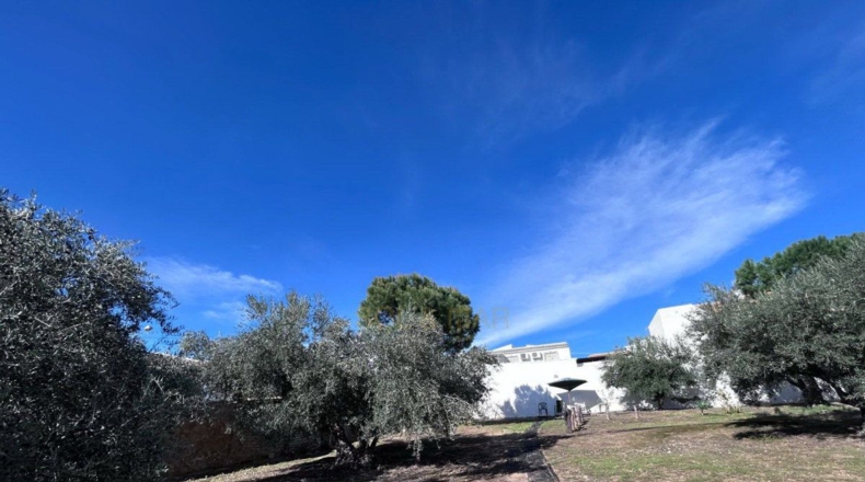 Málaga - Villanueva de Algaidas - 1000m2