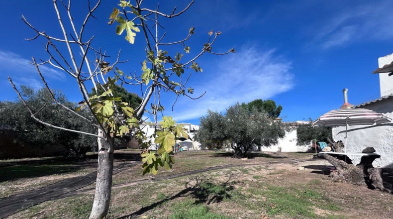 Málaga - Villanueva de Algaidas - 1000m2