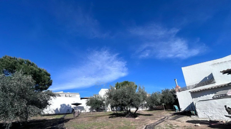 Málaga - Villanueva de Algaidas - 1000m2