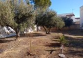 Xalet independent amb terreny en venda a Villanueva de Algaidas ref.: TR343674 foto