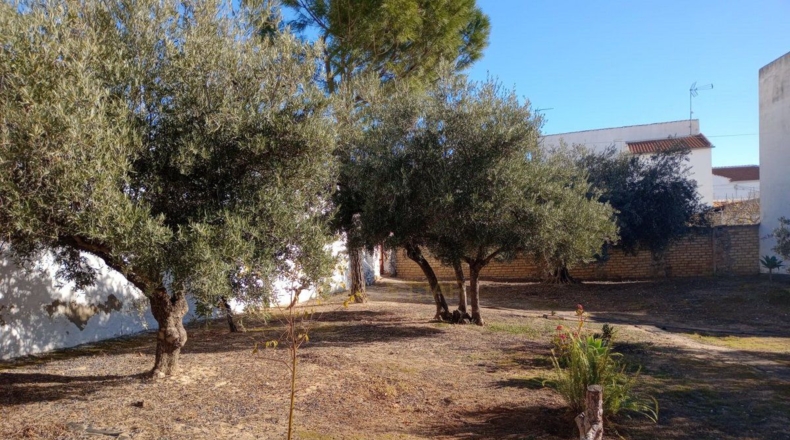 Málaga - Villanueva de Algaidas - 1000m2