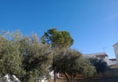 Xalet independent amb terreny en venda a Villanueva de Algaidas ref.: TR343674 foto