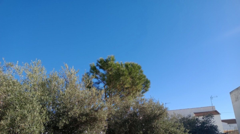 Málaga - Villanueva de Algaidas - 1000m2
