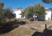 Xalet independent amb terreny en venda a Villanueva de Algaidas ref.: TR343674 foto