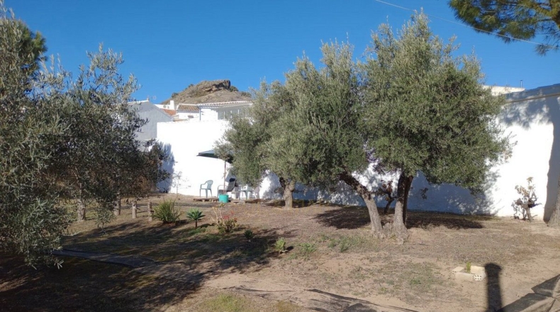 Málaga - Villanueva de Algaidas - 1000m2