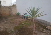 Xalet independent amb terreny en venda a Villanueva de Algaidas ref.: TR343674 foto