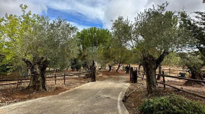 Málaga - Archidona - 4749m2