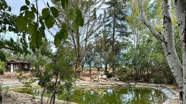 Málaga - Archidona - 4749m2