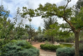 Foto 7