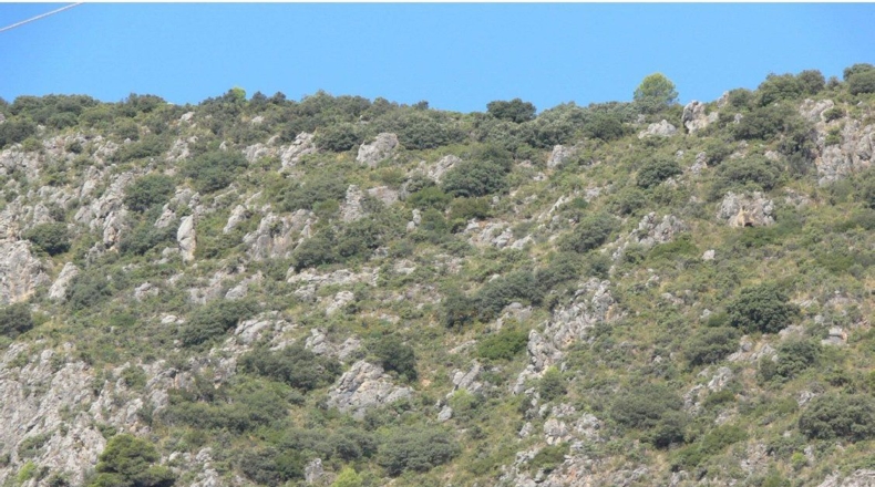 Córdoba - Priego de Córdoba - 2250000m2