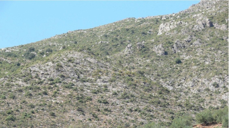 Córdoba - Priego de Córdoba - 2250000m2