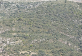 Priego de Córdoba 2250000&nbsp;m² 