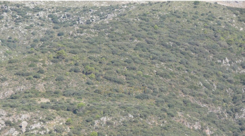 Córdoba - Priego de Córdoba - 2250000m2