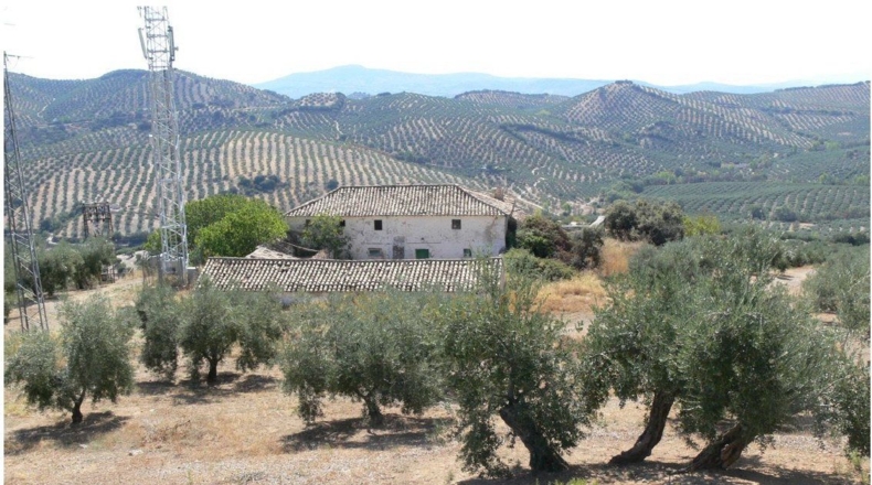 Córdoba - Priego de Córdoba - 2250000m2