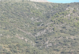 Priego de Córdoba 2250000&nbsp;m² 