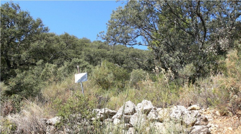 Córdoba - Priego de Córdoba - 2250000m2