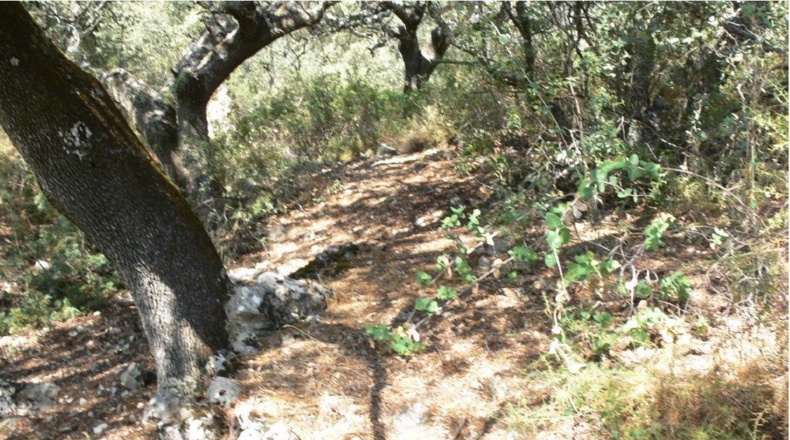 Córdoba - Priego de Córdoba - 2250000m2