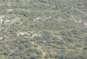 Priego de Córdoba 2250000&nbsp;m² 