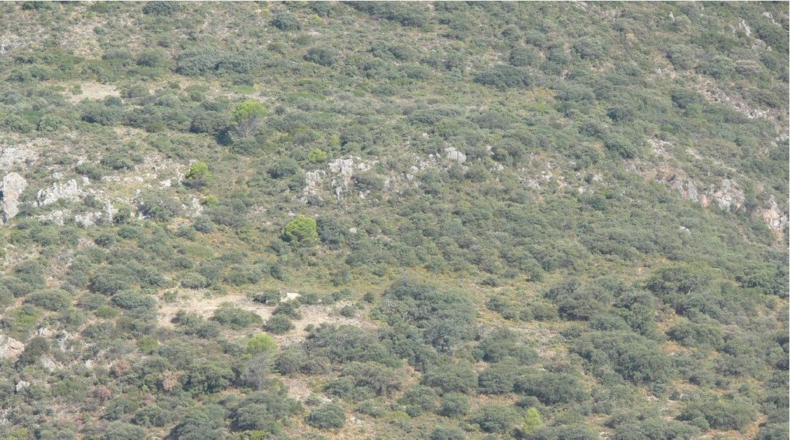 Córdoba - Priego de Córdoba - 2250000m2
