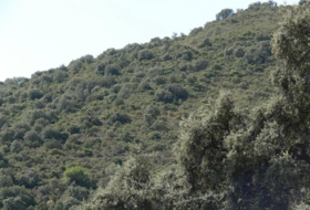 Priego de Córdoba 2250000&nbsp;m² 