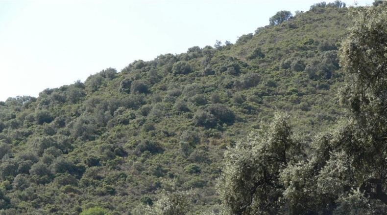 Córdoba - Priego de Córdoba - 2250000m2