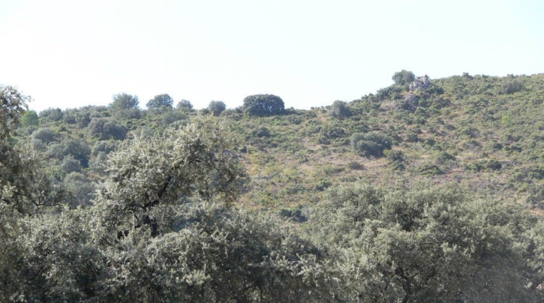 Córdoba - Priego de Córdoba - 2250000m2