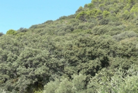 Priego de Córdoba 2250000&nbsp;m² 
